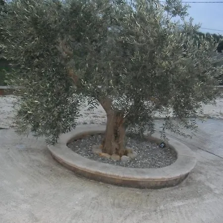 Luella Martina Franca