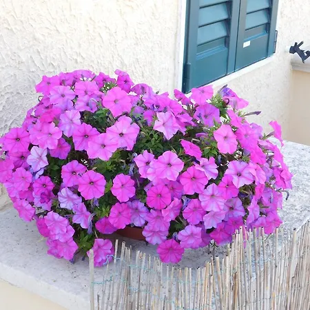 Luella Martina Franca